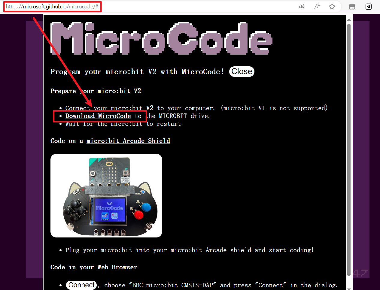 image-20240531111449261